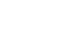 DFNS logo